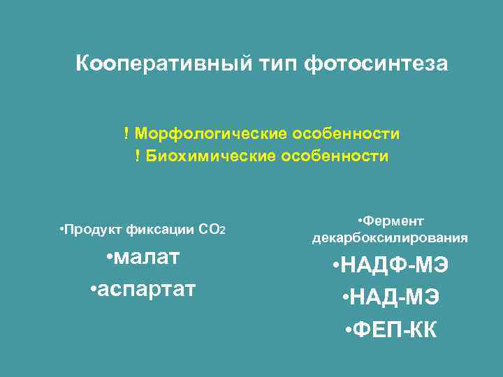Кооперативный тип фотосинтеза ! Морфологические особенности ! Биохимические особенности • Продукт фиксации СО 2