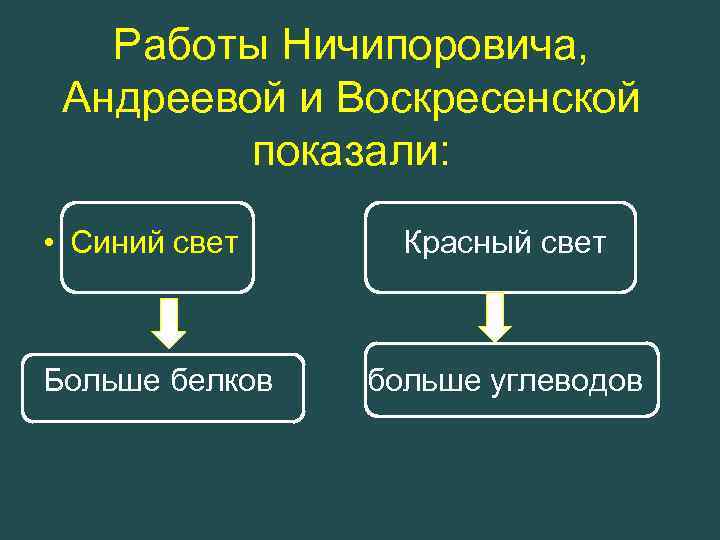 Работы Ничипоровича, Андреевой и Воскресенской показали: • Синий свет Больше белков Красный свет больше