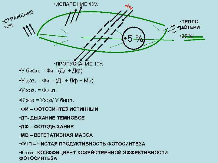  • ИСПАРЕ НИЕ 40% Е • hv НИ ЖЕ РА • ОТ 10%