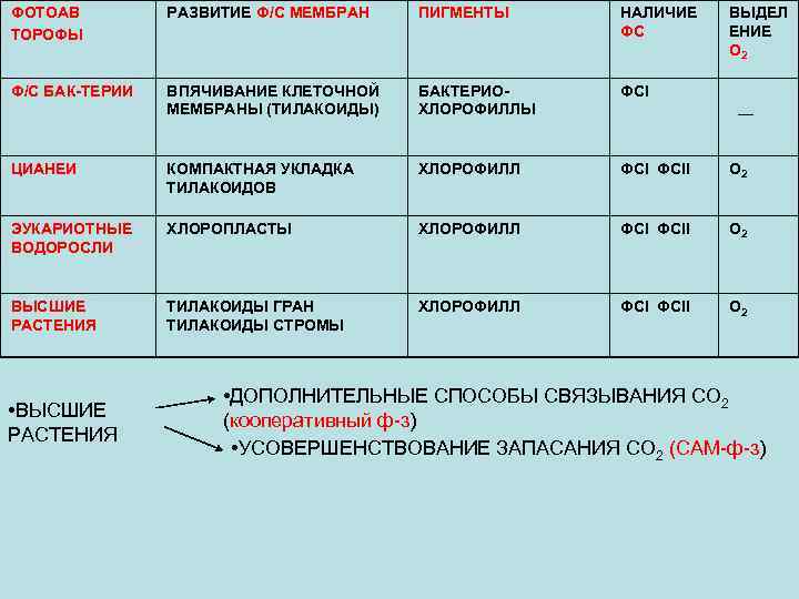 ФОТОАВ ТОРОФЫ РАЗВИТИЕ Ф/С МЕМБРАН ПИГМЕНТЫ НАЛИЧИЕ ФС Ф/С БАК-ТЕРИИ ВПЯЧИВАНИЕ КЛЕТОЧНОЙ МЕМБРАНЫ (ТИЛАКОИДЫ)