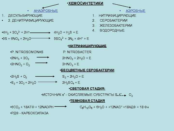  • ХЕМОСИНТЕТИКИ 1. • • АНАЭРОБНЫЕ ДЕСУЛЬФИРУЮЩИЕ 2. ДЕНИТРИФИЦИРУЮЩИЕ 1. 2. 3. 4.