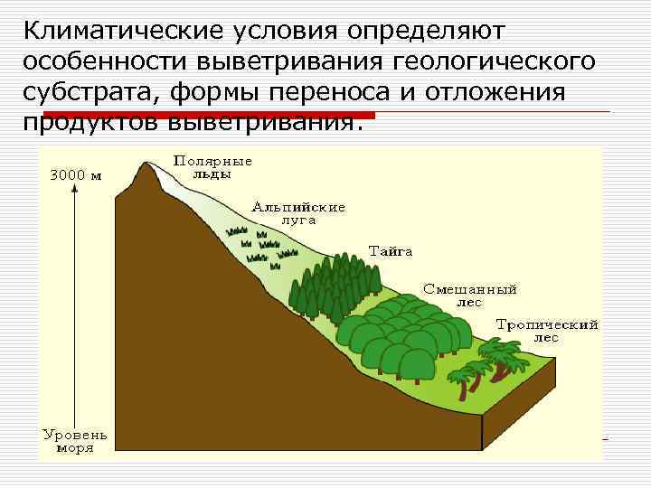 Климатические условия определяют особенности выветривания геологического субстрата, формы переноса и отложения продуктов выветривания. 