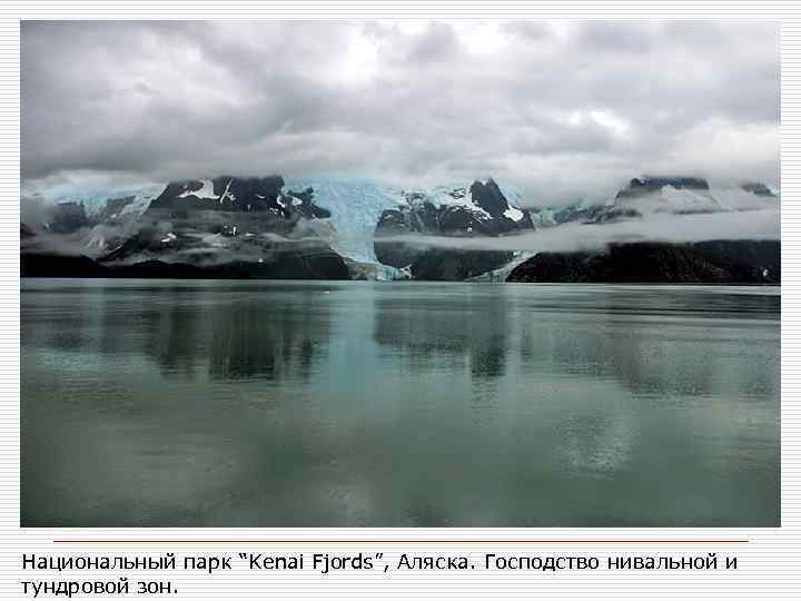 Национальный парк “Kenai Fjords”, Аляска. Господство нивальной и тундровой зон. 