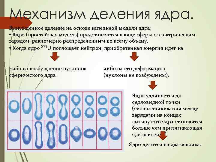 Механизм деления ядра. Вынужденное деление на основе капельной модели ядра: • Ядро (простейшая модель)