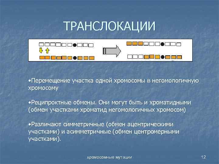 ТРАНСЛОКАЦИИ • Перемещение участка одной хромосомы в негомологичную хромосому • Реципроктные обмены. Они могут