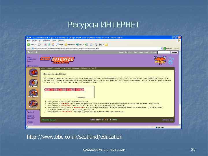 Ресурсы ИНТЕРНЕТ http: //www. bbc. co. uk/scotland/education хромосомные мутации 23 
