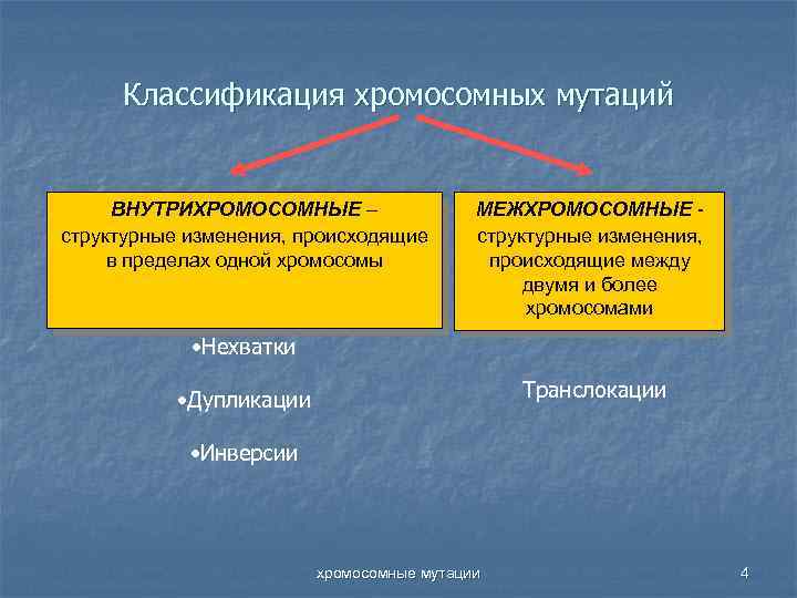 Классификация хромосомных мутаций ВНУТРИХРОМОСОМНЫЕ – структурные изменения, происходящие в пределах одной хромосомы МЕЖХРОМОСОМНЫЕ структурные