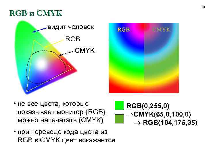 18 RGB и CMYK видит человек RGB CMYK • не все цвета, которые показывает