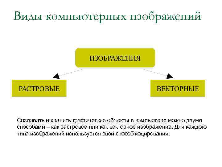 Виды компьютерных изображений Создавать и хранить графические объекты в компьютере можно двумя способами –
