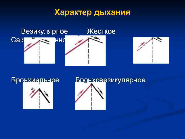 Везикулярное дыхание схема