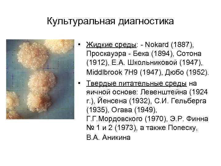 Культуральная диагностика • Жидкие среды: - Nokard (1887), Проскауэра - Бека (1894), Сотона (1912),