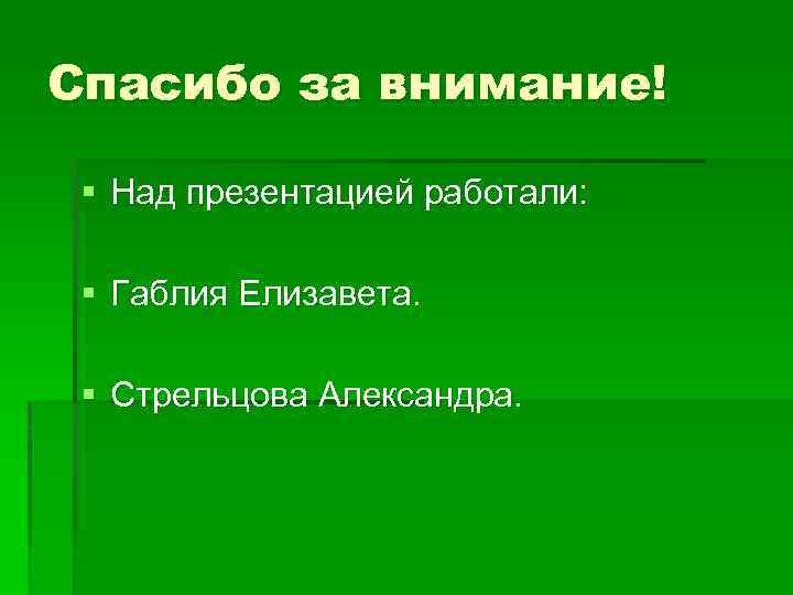 Спасибо за внимание! § Над презентацией работали: § Габлия Елизавета. § Стрельцова Александра. 