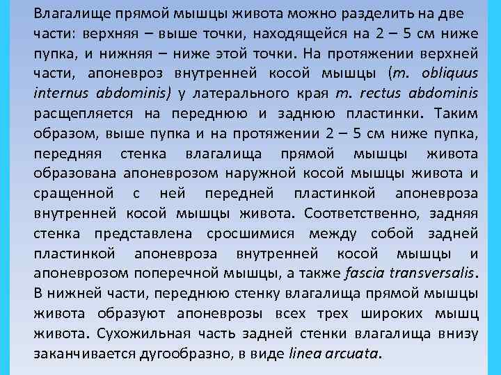 Влагалище прямой мышцы живота можно разделить на две части: верхняя – выше точки, находящейся