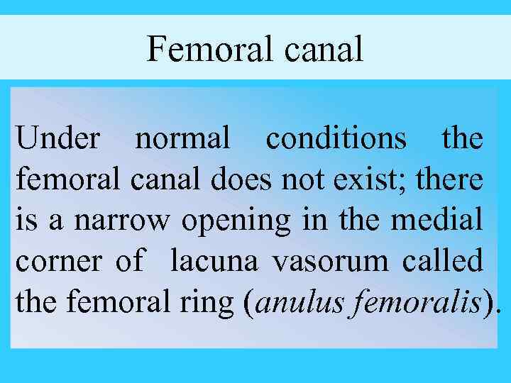 Femoral canal Under normal conditions the femoral canal does not exist; there is a