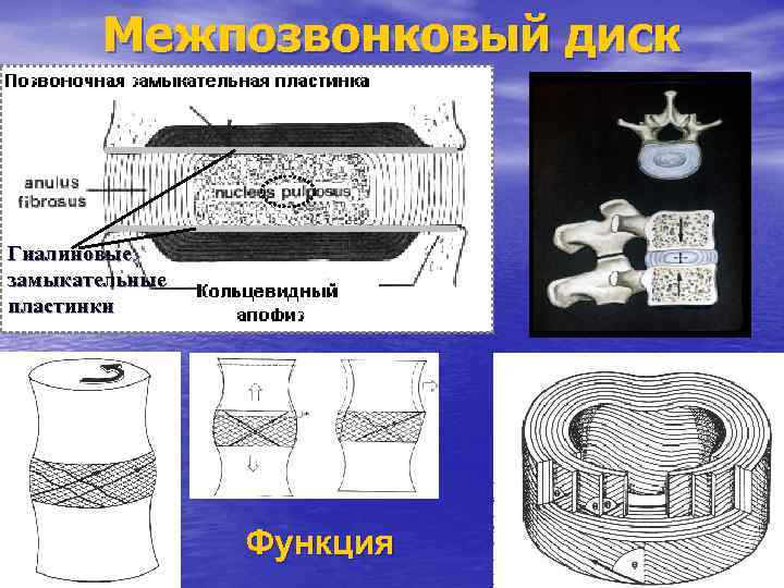 Замыкающая пластина