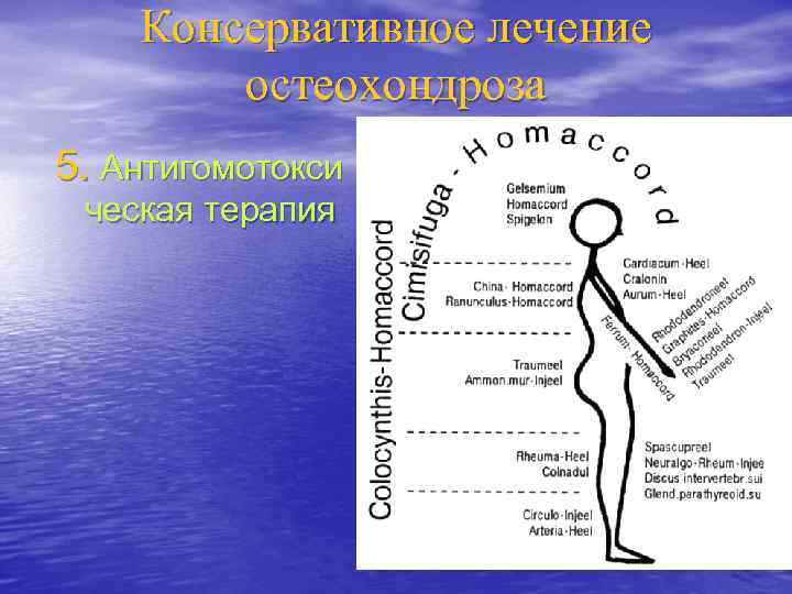 Консервативное лечение остеохондроза 5. Антигомотокси ческая терапия 