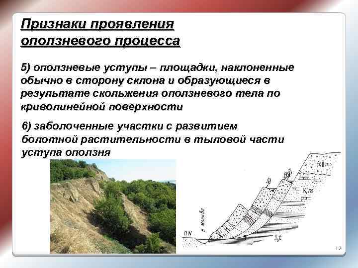 Признаки проявления оползневого процесса 5) оползневые уступы – площадки, наклоненные обычно в сторону склона