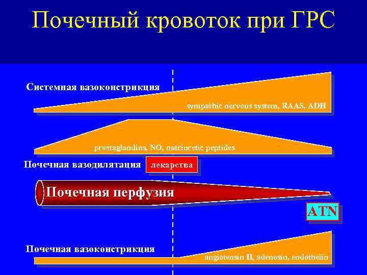 Почечный кровоток при ГРС Системная вазоконстрикция sympathic nervous system, RAAS, ADH prostaglandins, NO, natriuretic