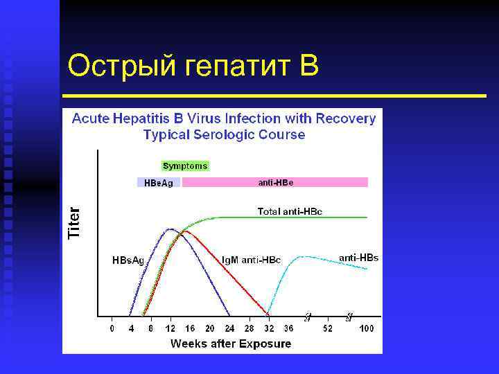 Острый гепатит В 