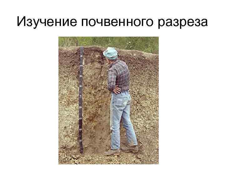 Изучение почвенного разреза 
