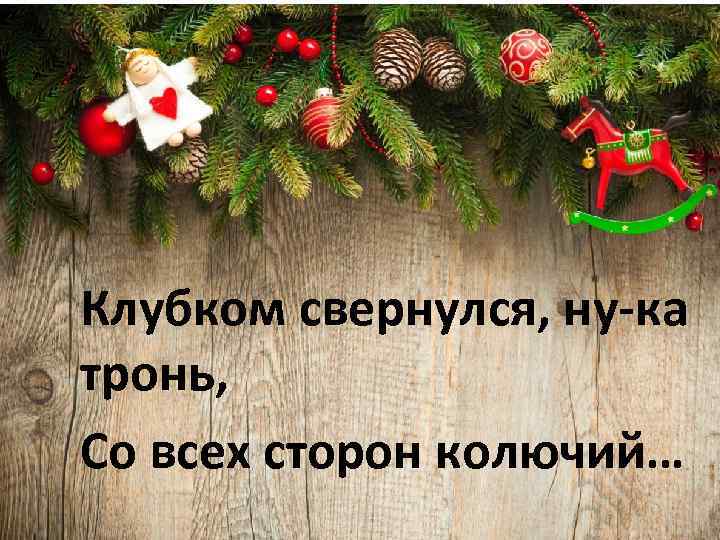 Клубком свернулся, ну-ка тронь, Со всех сторон колючий… 