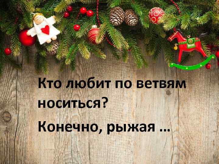 Кто любит по ветвям носиться? Конечно, рыжая … 