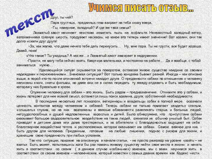 ст к Учимся писать отзыв… Друг, ты чей? Пара грустных, преданных глаз взирает на