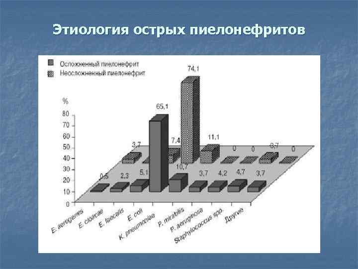 Этиология острых пиелонефритов 
