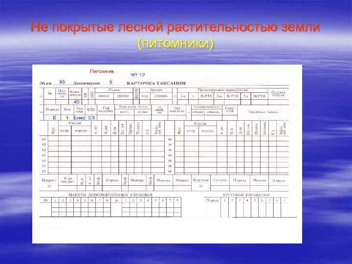 Не покрытые лесной растительностью земли (питомники) 