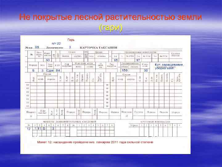 Работа заполнять карточки