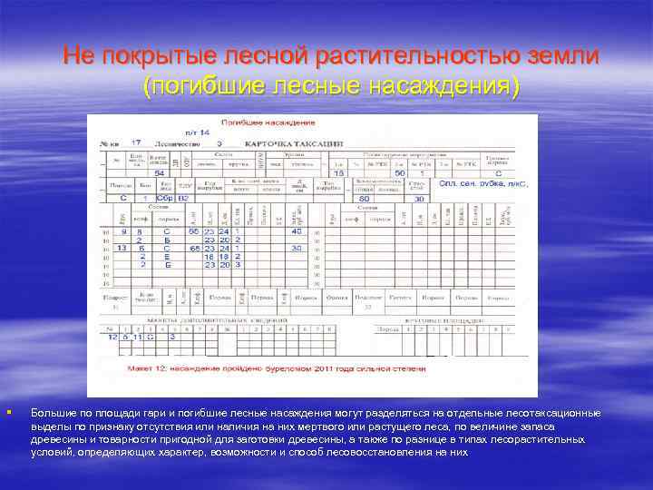 Технологическая карта на проведение рубок лесных насаждений