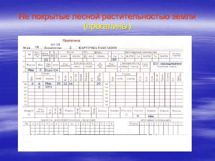 Образец заполнения карточки таксации