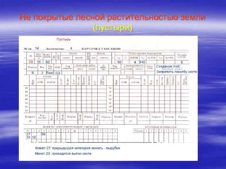 Что значит заполнять карточки