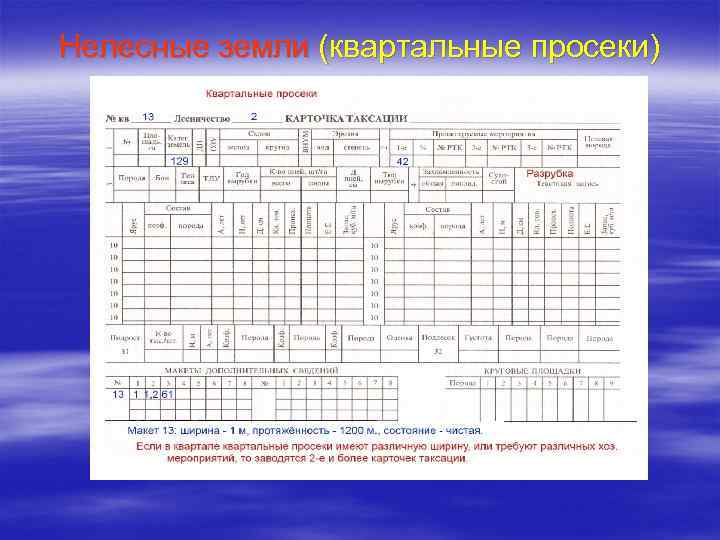 Особенности заполнения