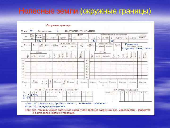 Стоимость Заполнения Карточек Интернет Магазина