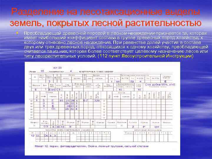 Образец заполнения карточки таксации