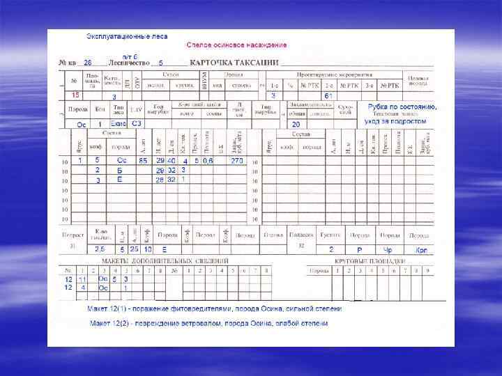 Особенности заполнения. Карточка таксации леса порядок её заполнения. Карточка таксации кт-95. Карточка таксации заполненная. Карточки таксации образец.
