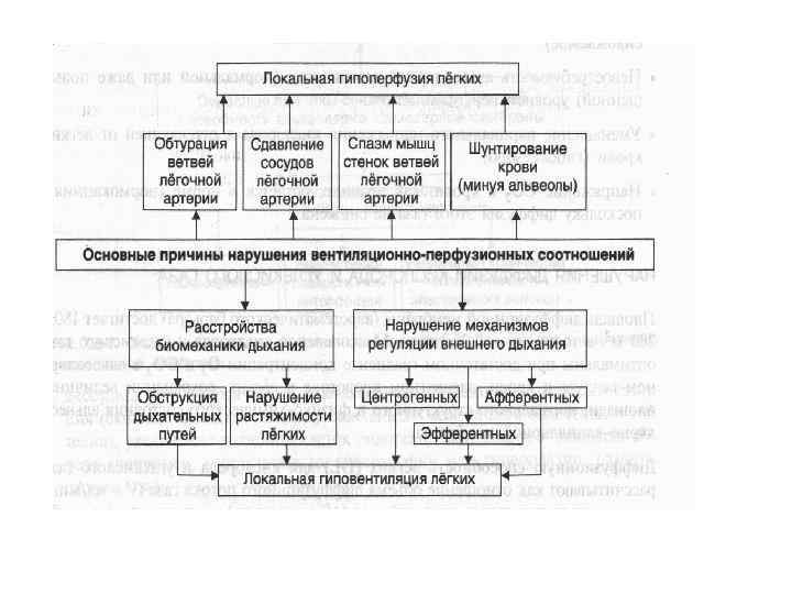 Патофизиология внешнего дыхания презентация