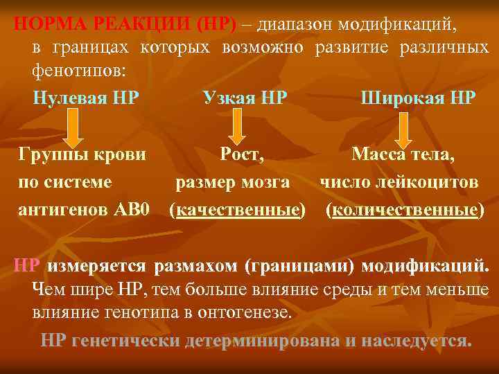 НОРМА РЕАКЦИИ (НР) – диапазон модификаций, в границах которых возможно развитие различных фенотипов: Нулевая