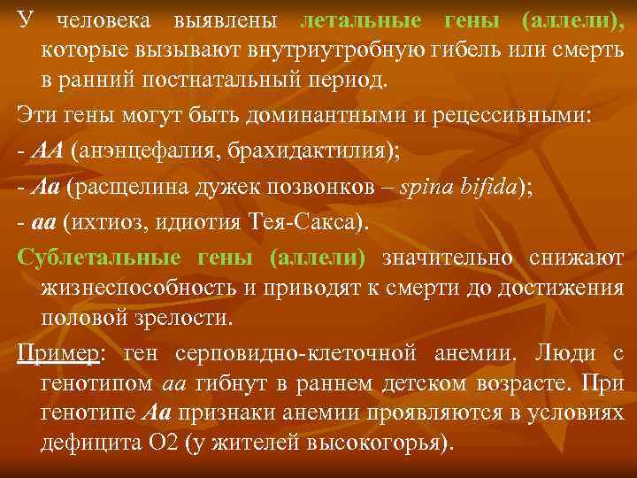 У человека выявлены летальные гены (аллели), которые вызывают внутриутробную гибель или смерть в ранний