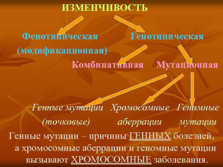 Генотипические мутации презентация 10 класс