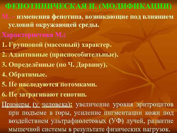 ФЕНОТИПИЧЕСКАЯ И. (MОДИФИКАЦИИ) М. – изменения фенотипа, возникающие под влиянием условий окружающей среды. Характеристика