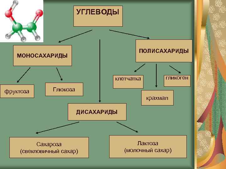 УГЛЕВОДЫ ПОЛИСАХАРИДЫ МОНОСАХАРИДЫ клетчатка фруктоза гликоген Глюкоза крахмал ДИСАХАРИДЫ Сахароза (свекловичный сахар) Лактоза (молочный