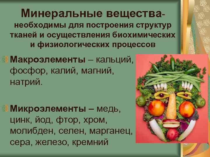 Какой тип питания характерен для коровы изображенной на рисунке обоснуйте свой ответ