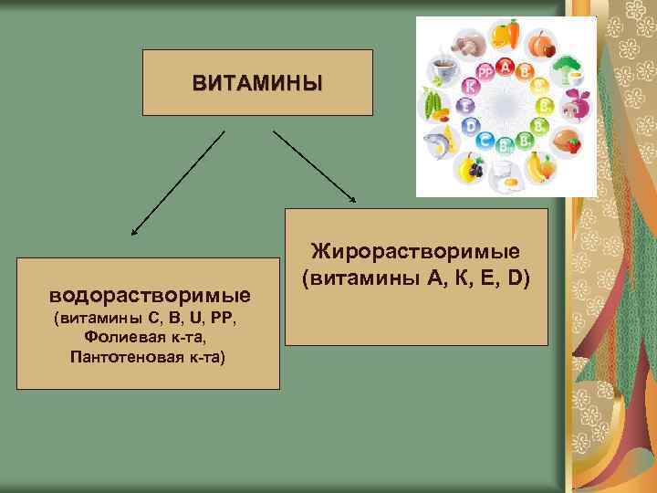 ВИТАМИНЫ водорастворимые (витамины С, В, U, РР, Фолиевая к-та, Пантотеновая к-та) Жирорастворимые (витамины А,