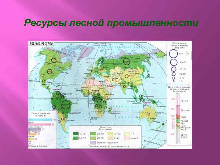 Ресурсы лесной промышленности 