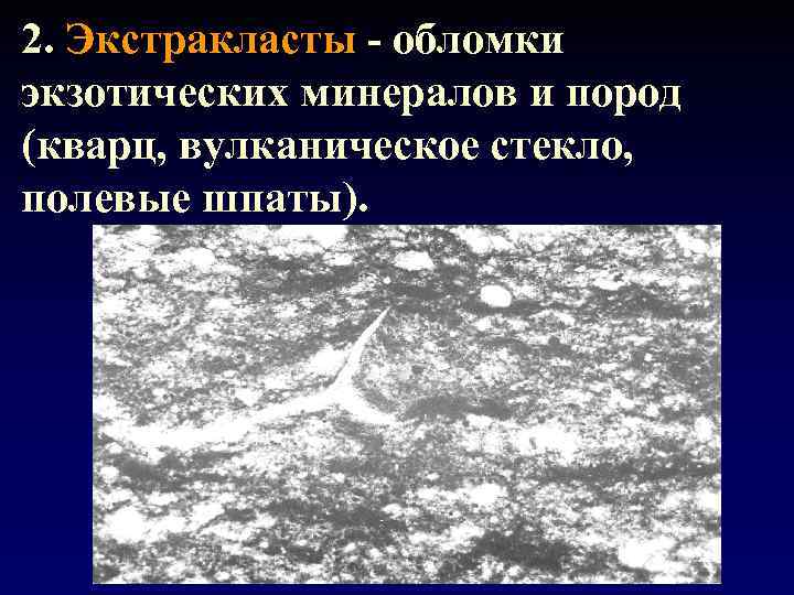 2. Экстракласты - обломки экзотических минералов и пород (кварц, вулканическое стекло, полевые шпаты). 