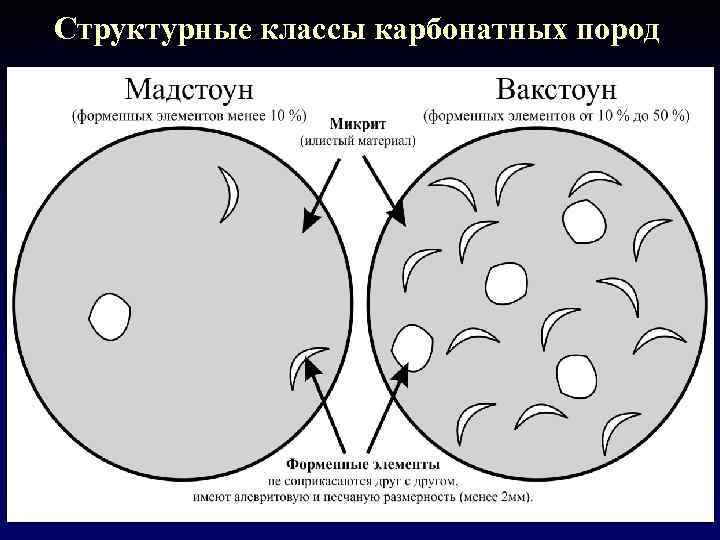 Структурные классы карбонатных пород 