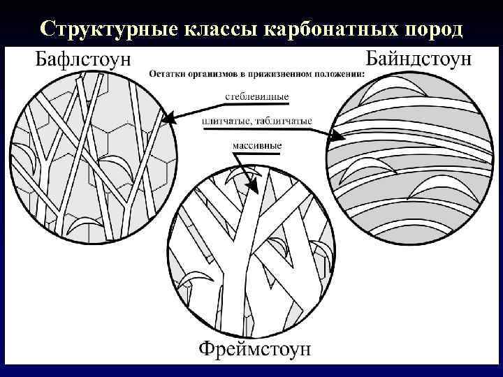 Структурные классы карбонатных пород 