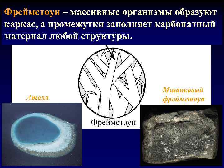 Фреймстоун – массивные организмы образуют каркас, а промежутки заполняет карбонатный материал любой структуры. Атолл